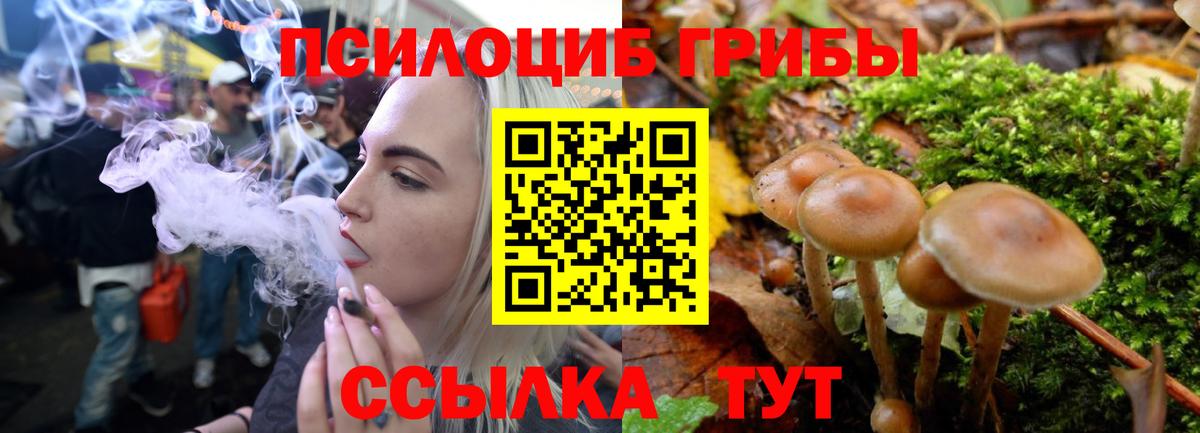 Псилоцибиновые грибы прущие грибы Назрань